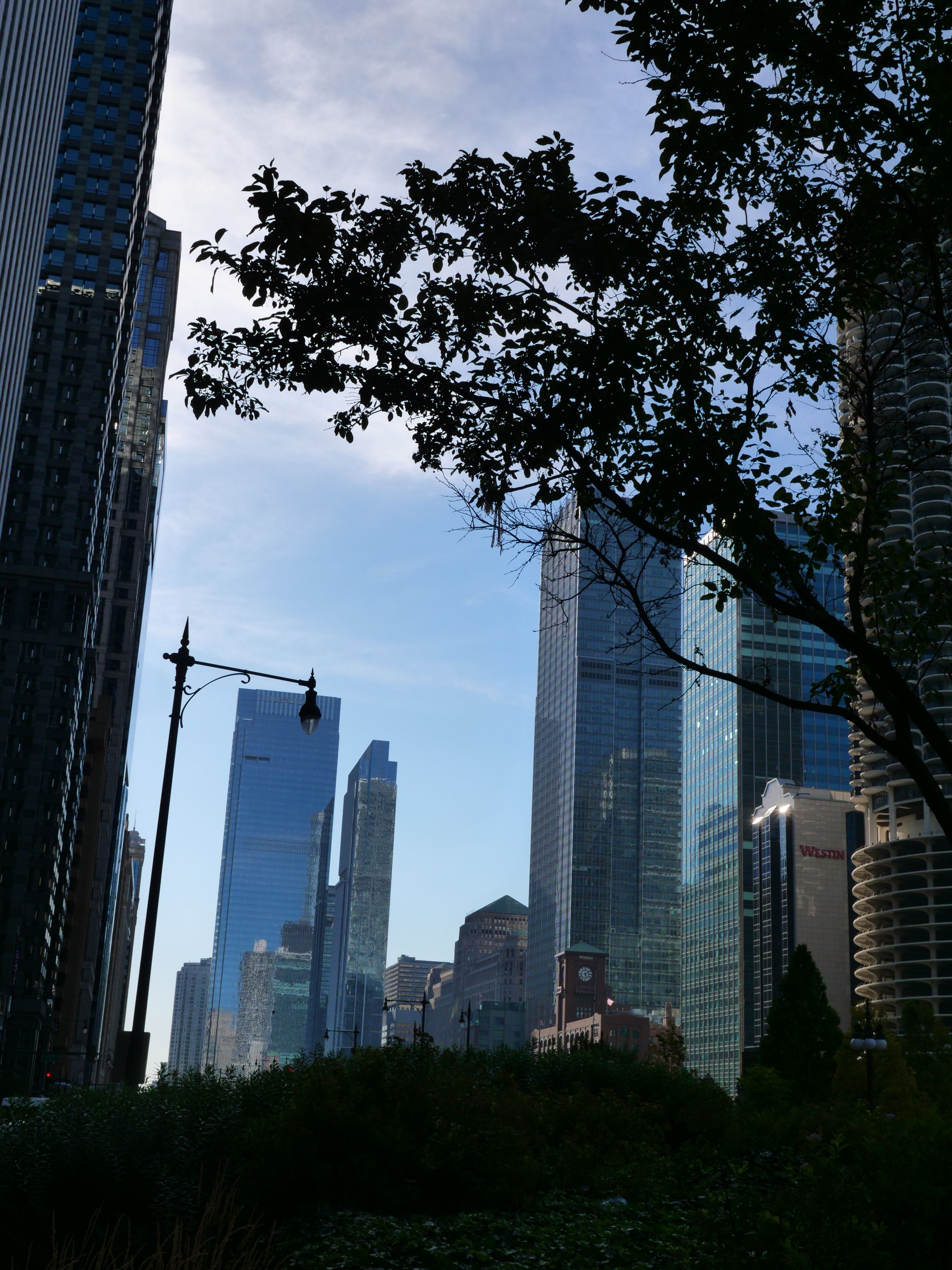 Chicago River at Sunset, photograph 16