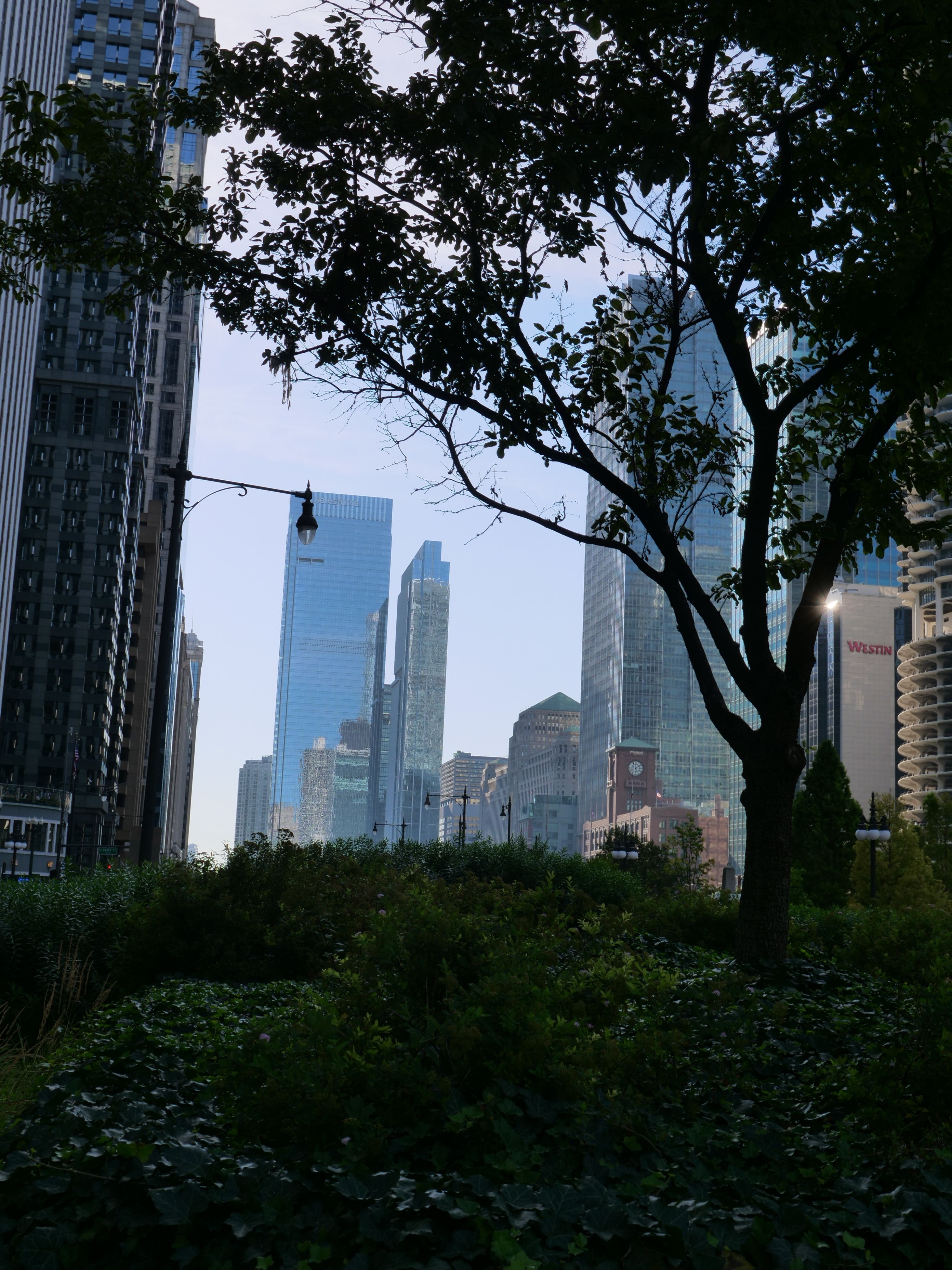 Chicago River at Sunset, photograph 18