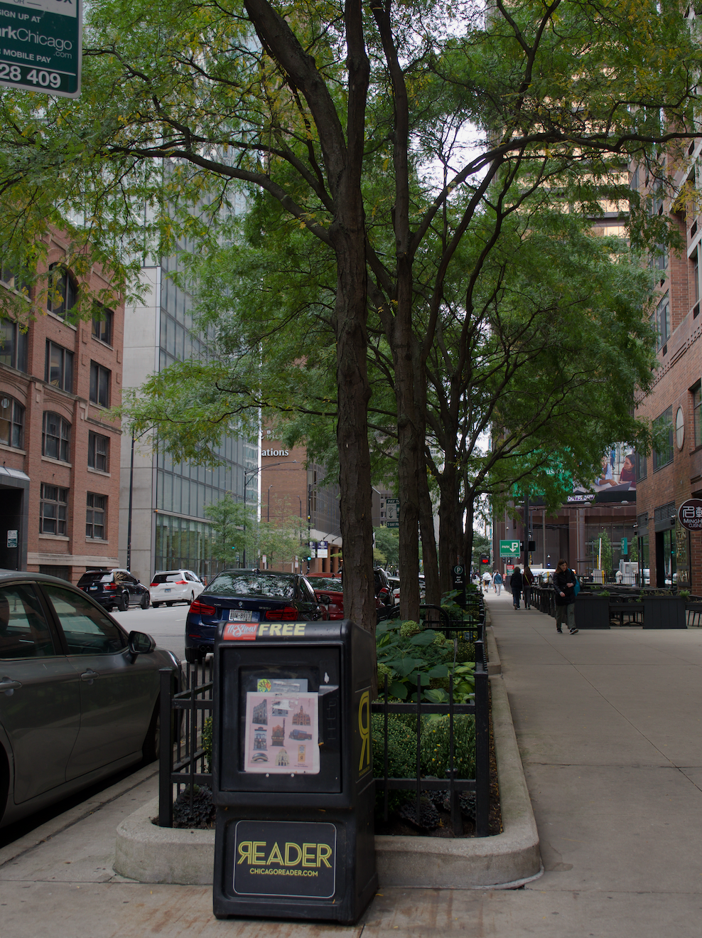 Chicago Marathon Week, photograph 15