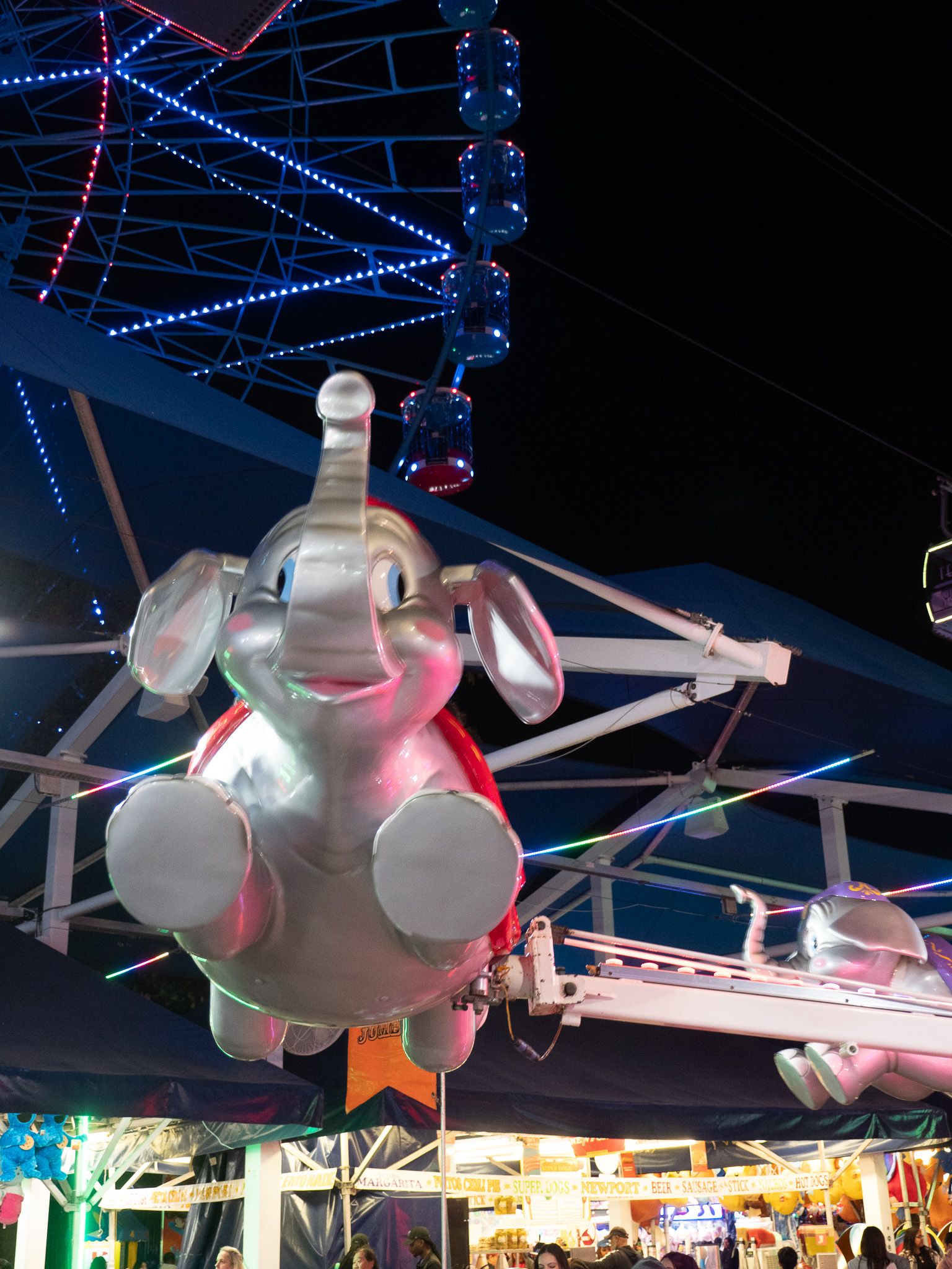 Texas State Fair, photograph 6