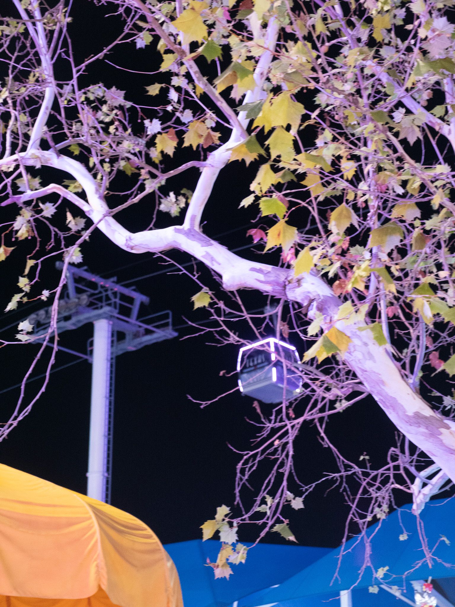 Texas State Fair, photograph 7