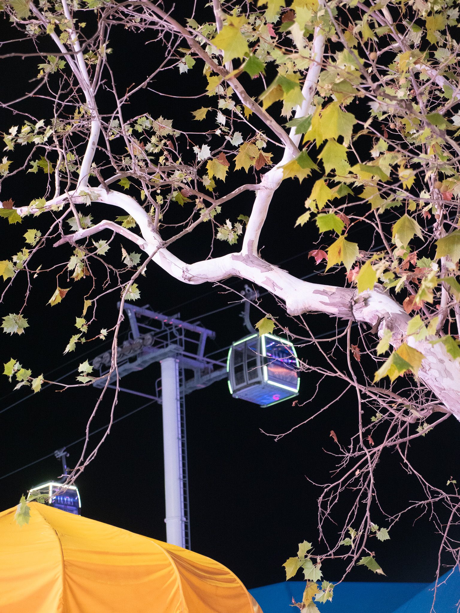 Texas State Fair, photograph 8