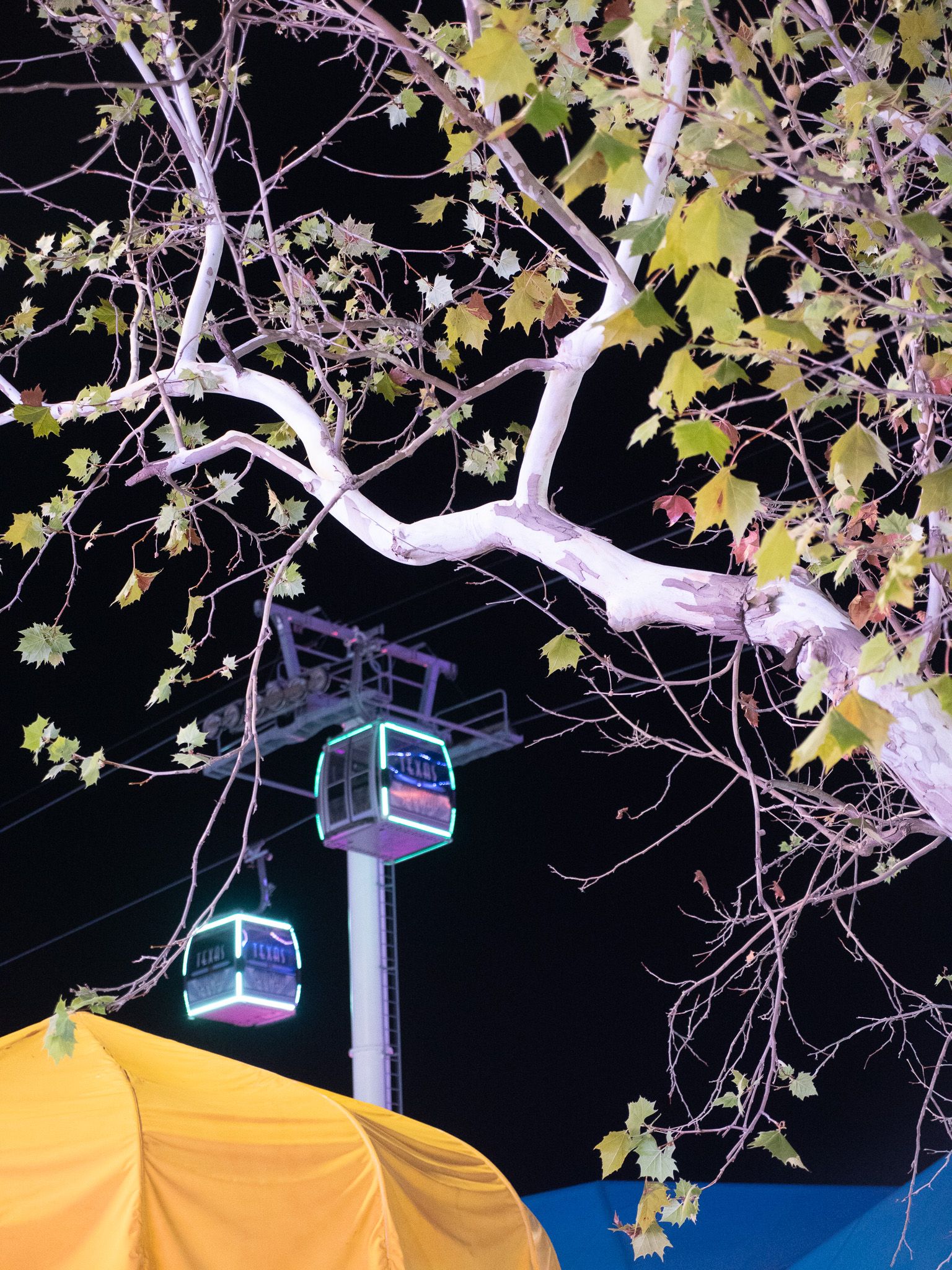 Texas State Fair, photograph 10