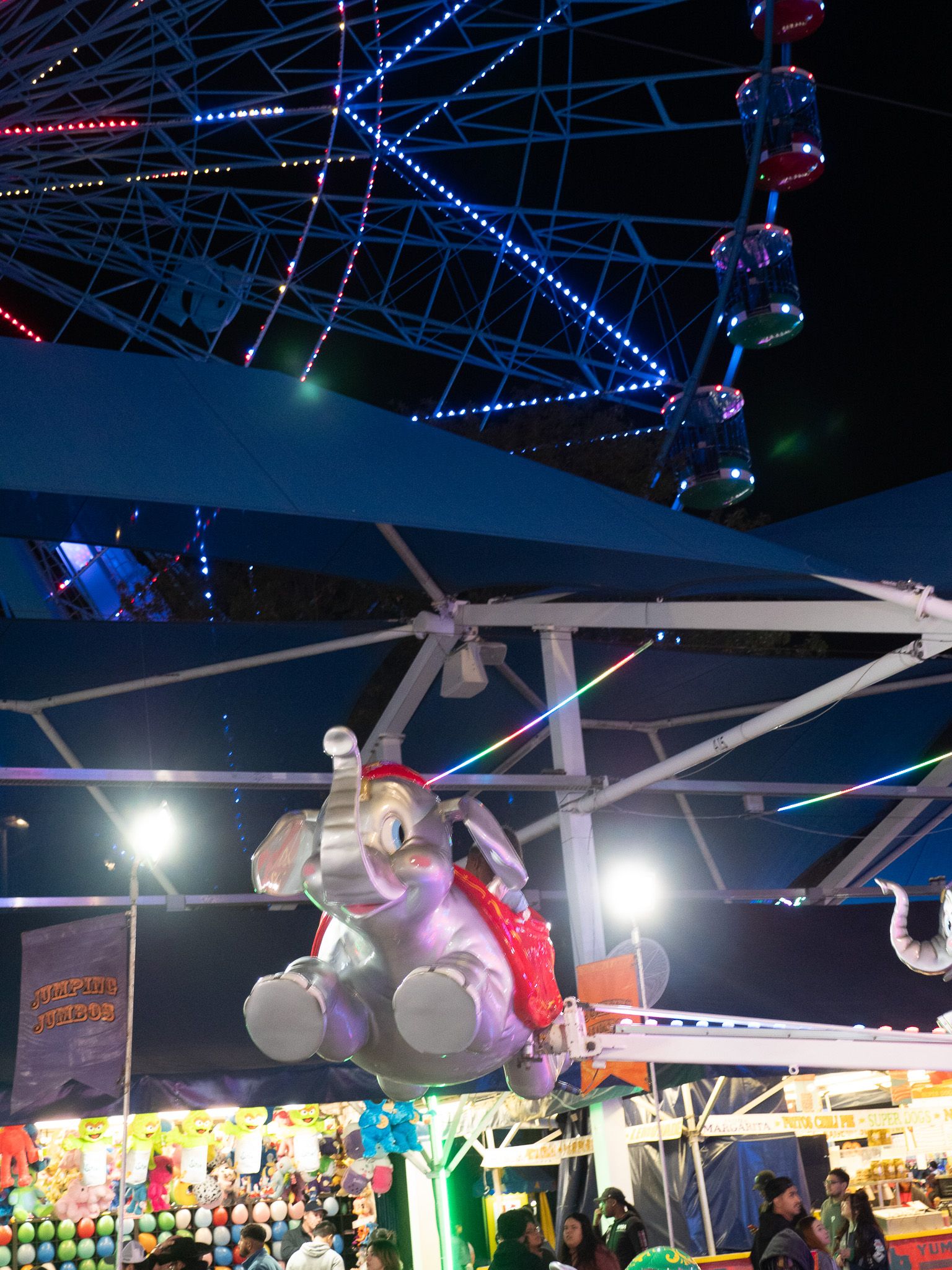Texas State Fair, photograph 18